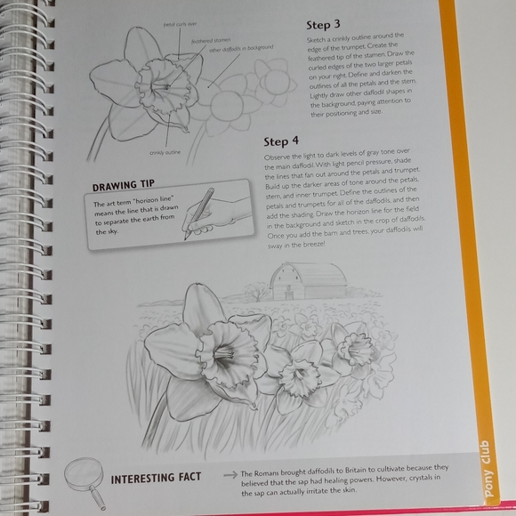 More Funky Things To Draw Book by Hinkler Books 2011 - Picture 12 of 12